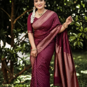 Merron Color Saree